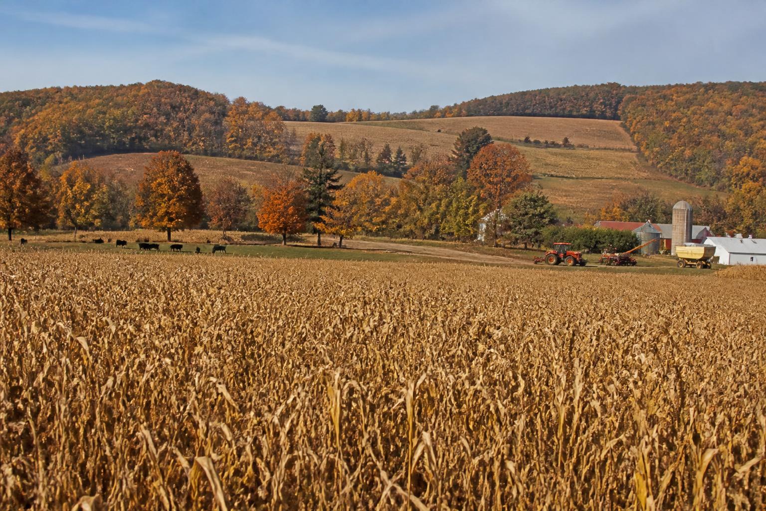 Navigating Fall Logistics and Labor Trends for Rhode Island Agriculture