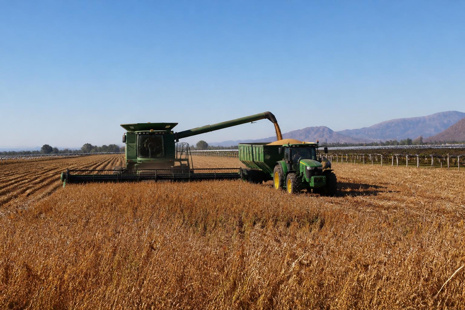 Arizona Ag Logistics: Navigating Fall Operational Challenges