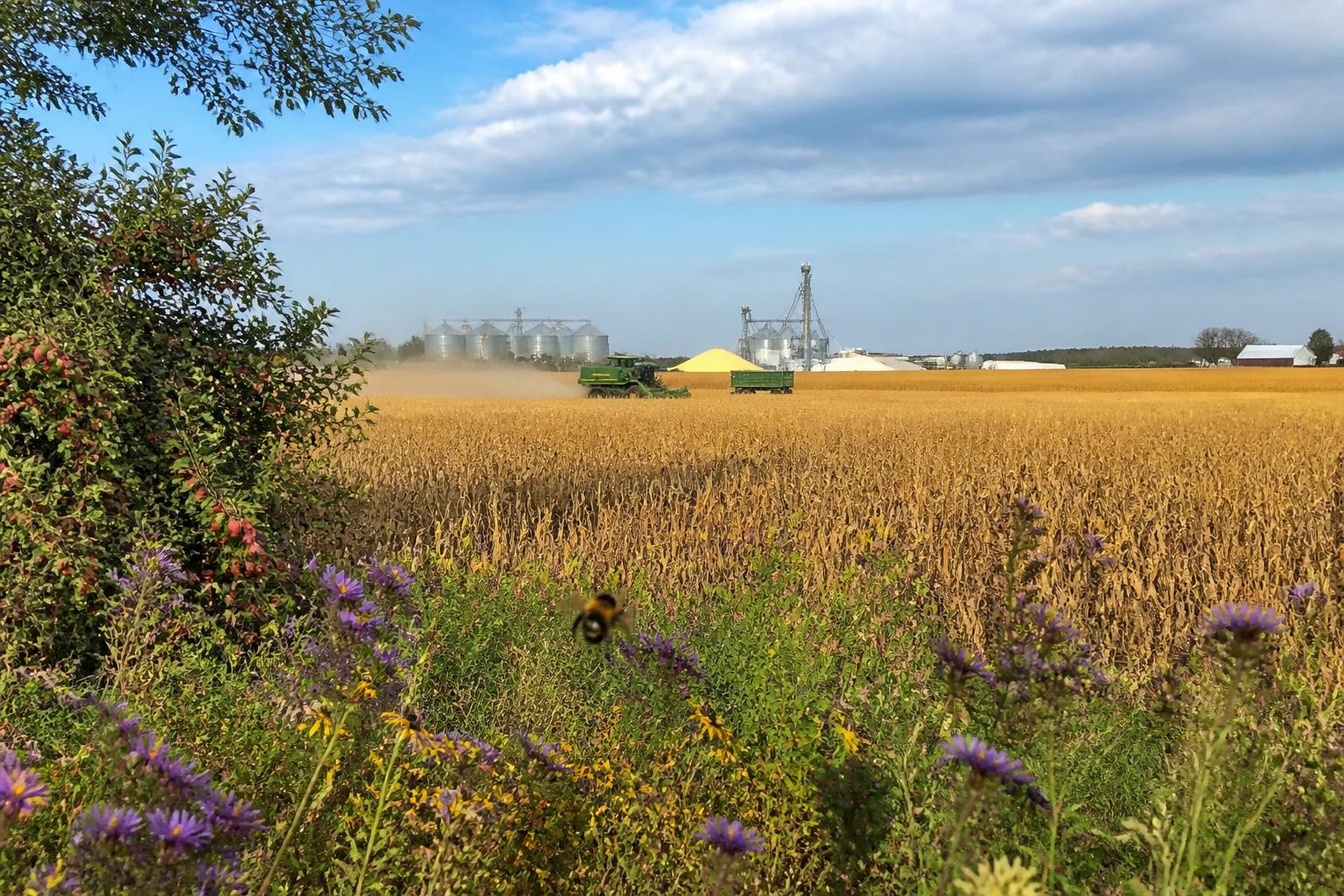 Navigating Changing Regulatory Landscapes and Infrastructure Pressures in Wyoming Agriculture