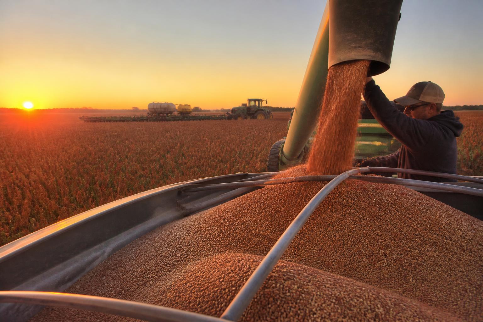 Kansas Harvest Update: Assessing Seasonal Progress and Logistics
