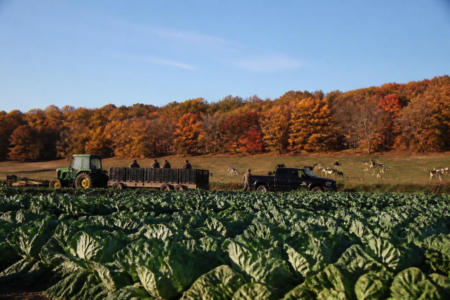Fall Logistics and Market Recovery: Navigating New Jersey Supply Chain Challenges - AgroPost