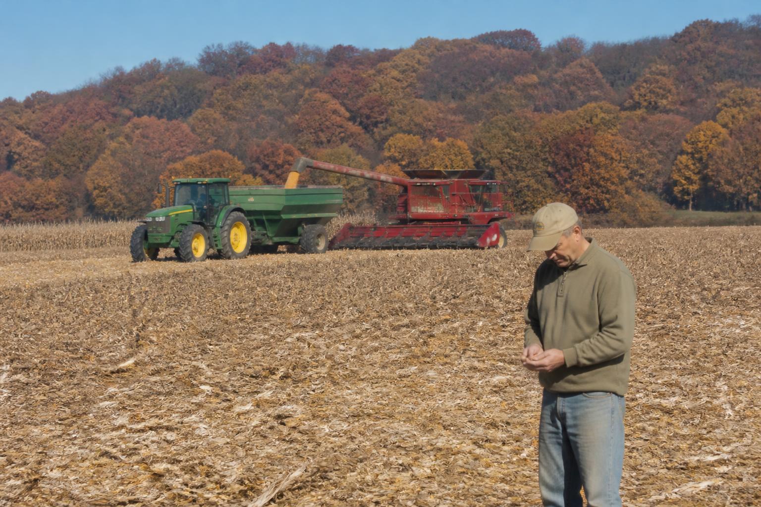 Tennessee Producers Face Cost Pressures as Fall Harvest Moves Forward - AgroPost
