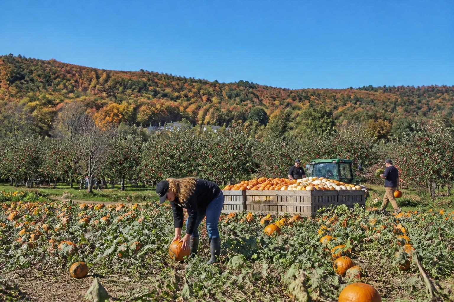 Fall Logistics: Maintaining Flow in New Hampshire Agriculture