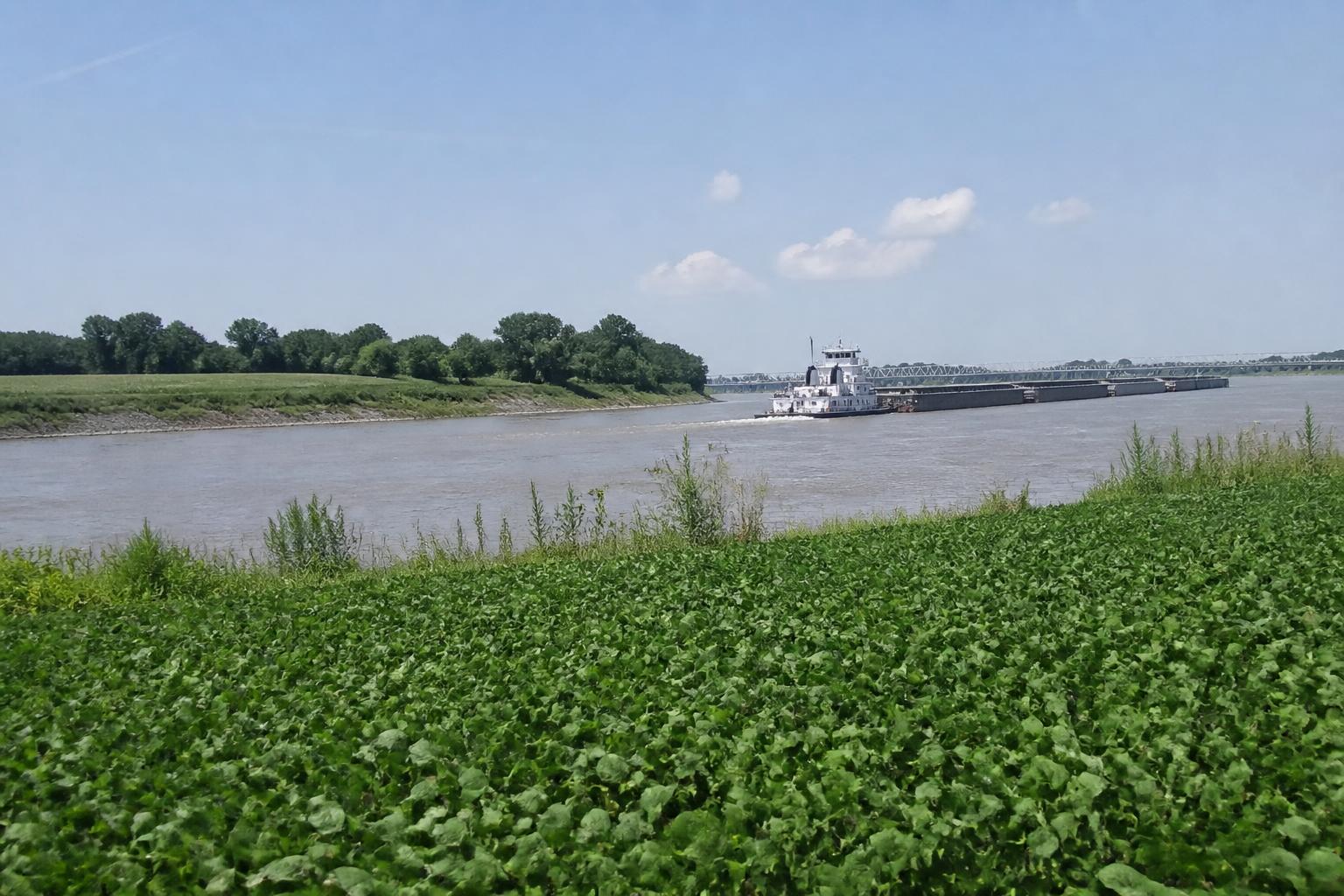 Mississippi Summer Crop Protection: Balancing Input Logistics and Delta Pest Pressures
