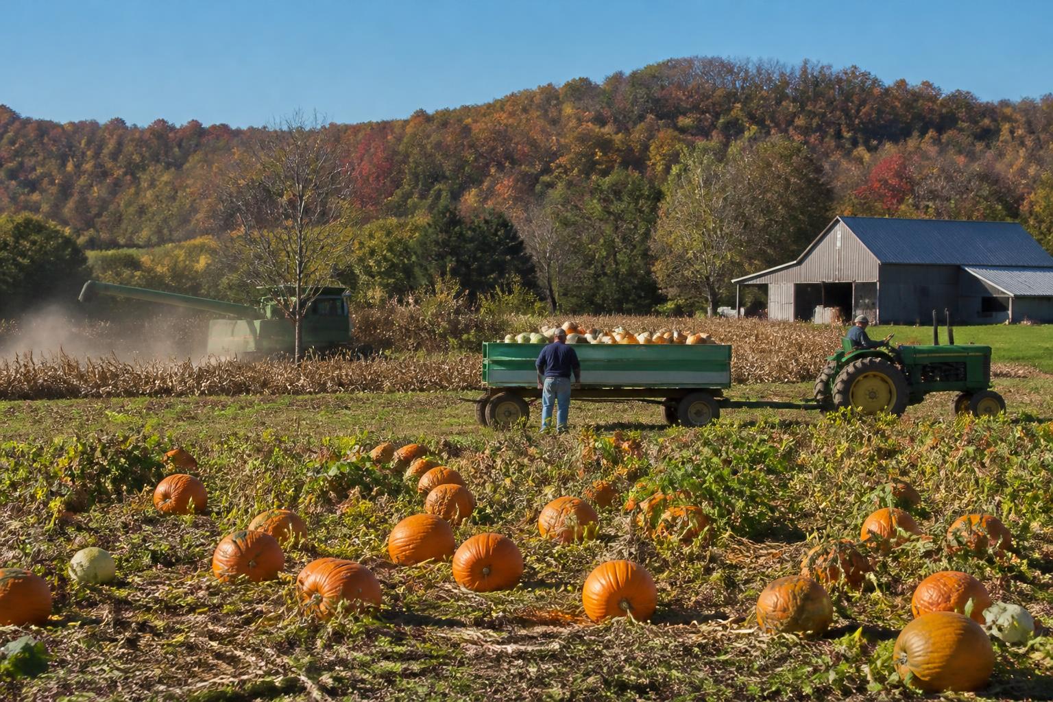 West Virginia Field Management: Preparing for Early Season Cold Snaps