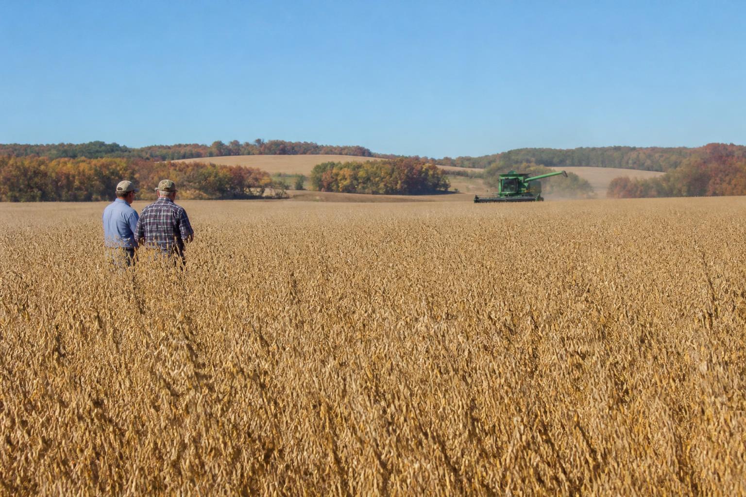 Kansas Logistics Outlook: Navigating Fuel Costs and Harvest Pressures