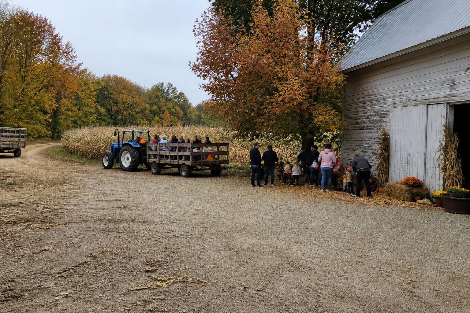 Indiana Harvest Logistics: Managing Input Costs and Supply Chain Flux