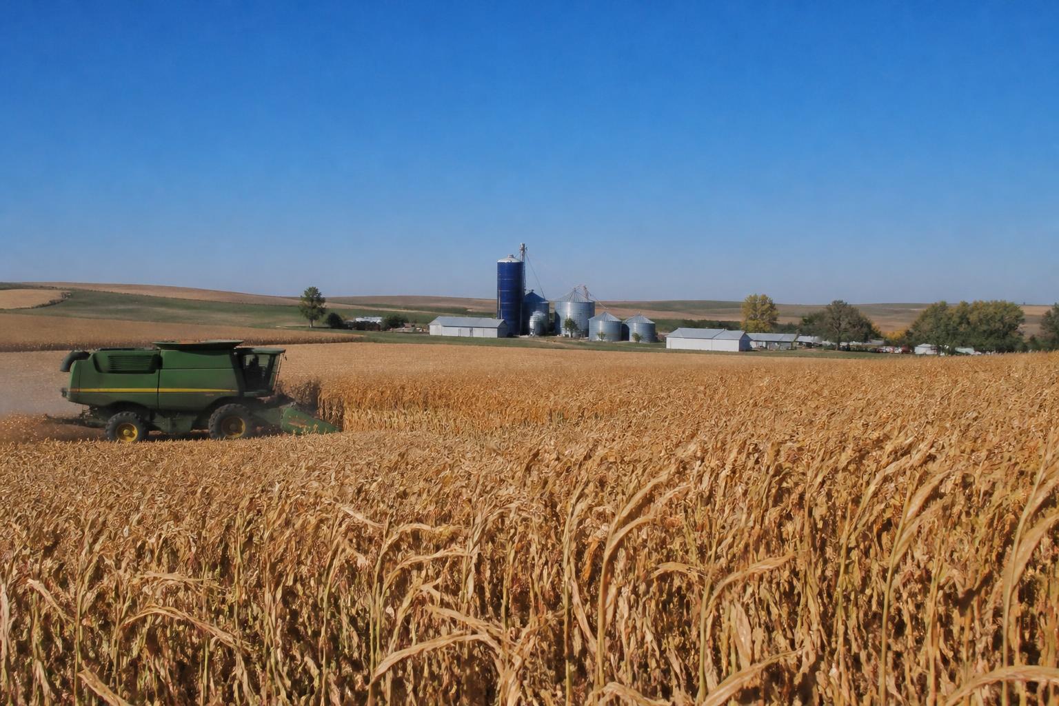 North Dakota Fertilizer Market Outlook: Managing Persistent Input Costs Through Fall