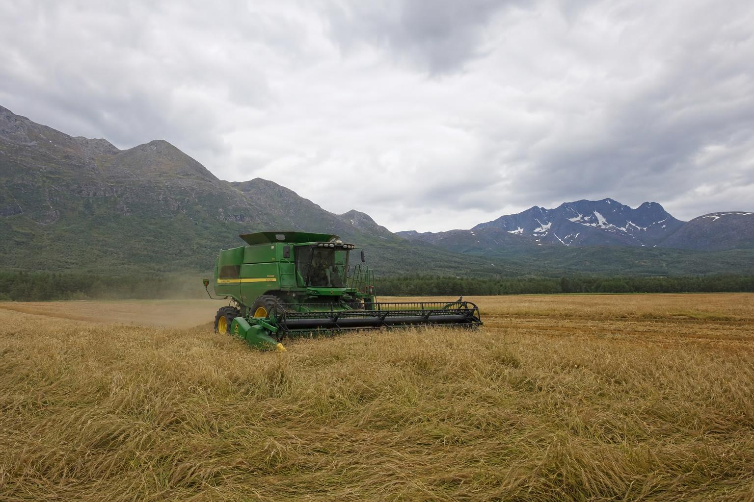 Alaska's Grain Market Challenges and Opportunities - AgroPost
