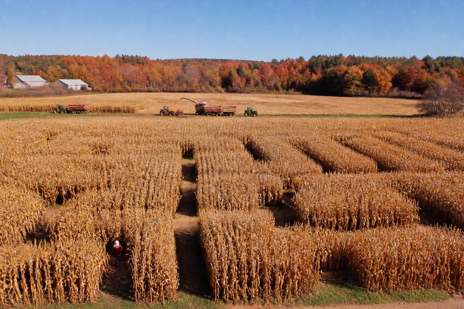 Logistics Outlook: Strengthening Supply Chain Efficiency as Harvest Peaks