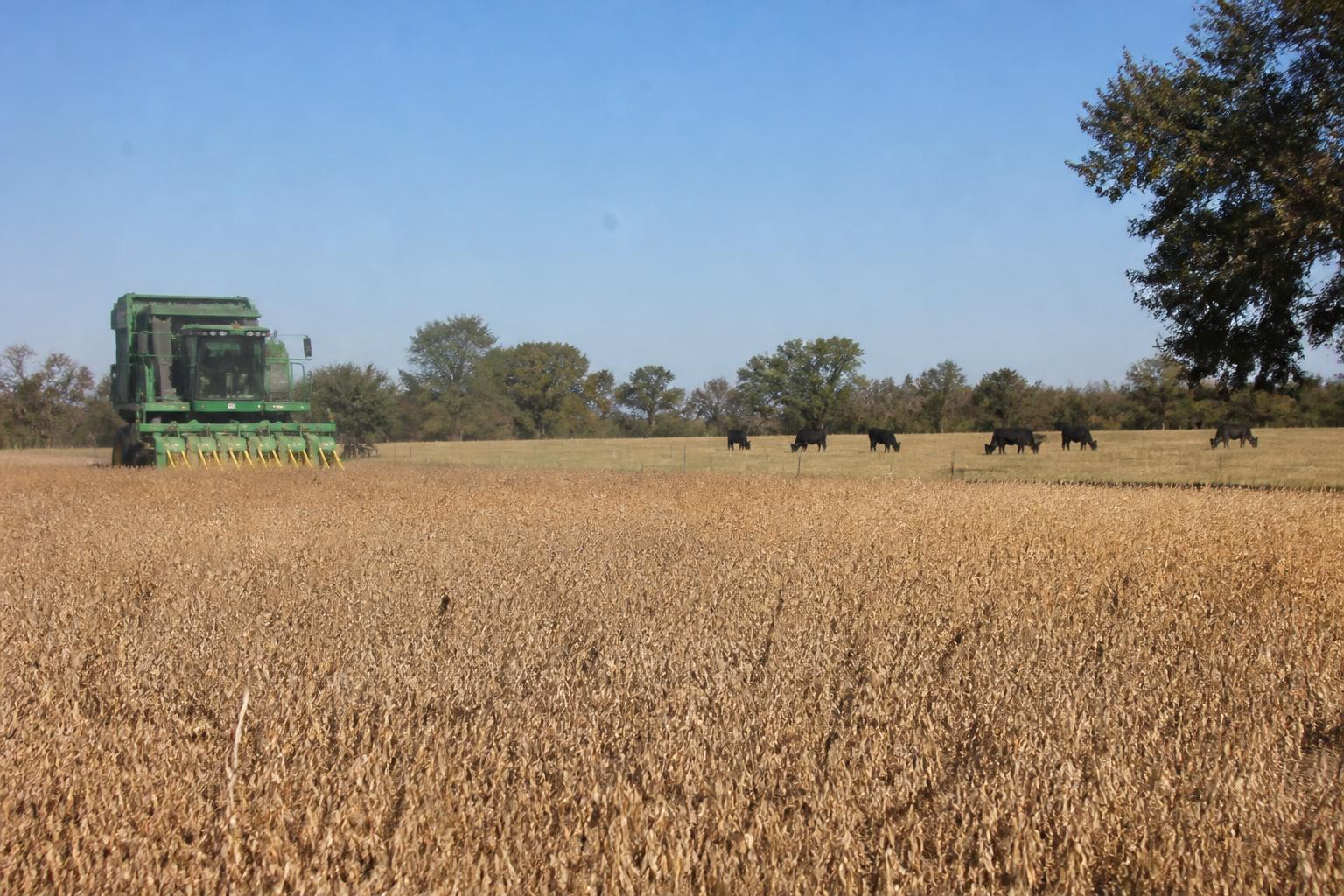 Protecting Texas Agriculture: New Defense Initiatives and Biosecurity Alerts