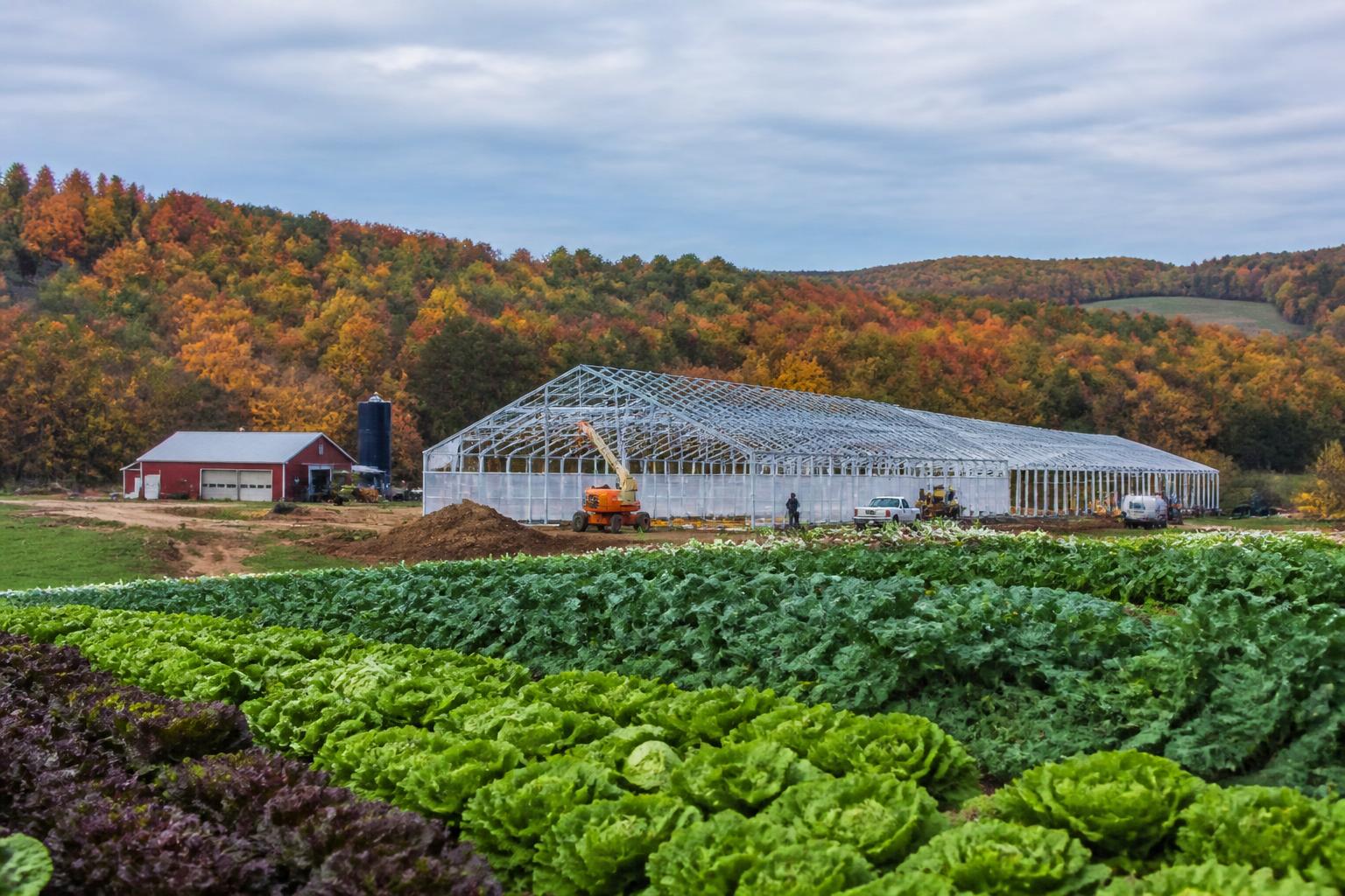 South Carolina Fall Logistics: Navigating Mid-Season Transport Pressures