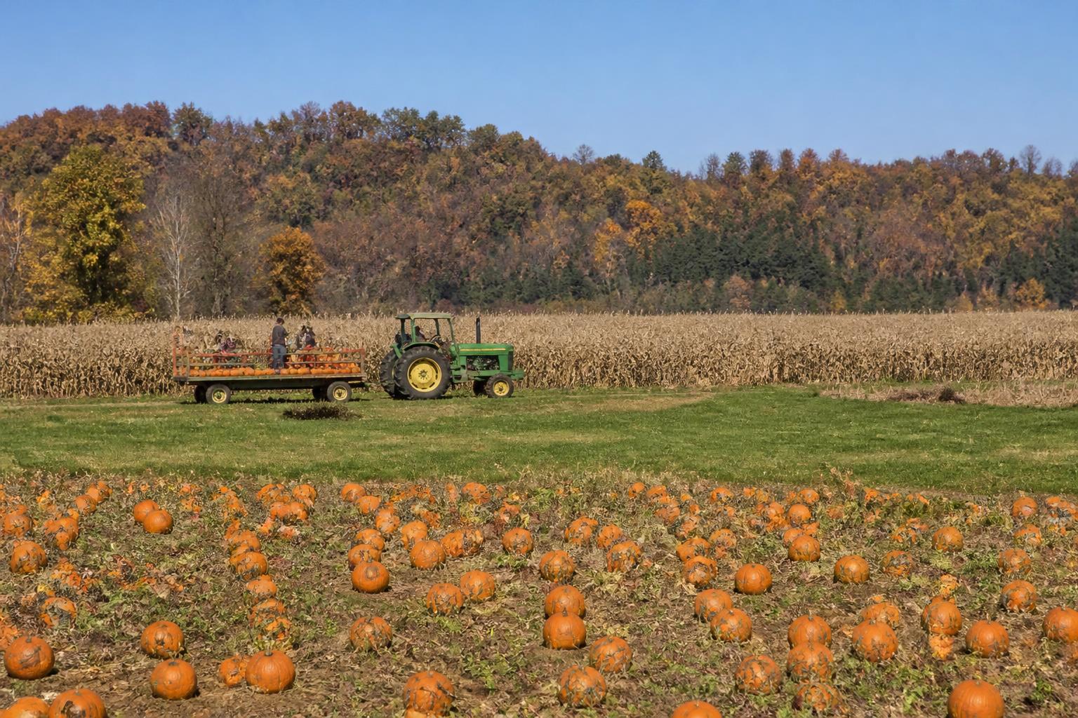 Kentucky Infrastructure and Specialty Crop Funding Update