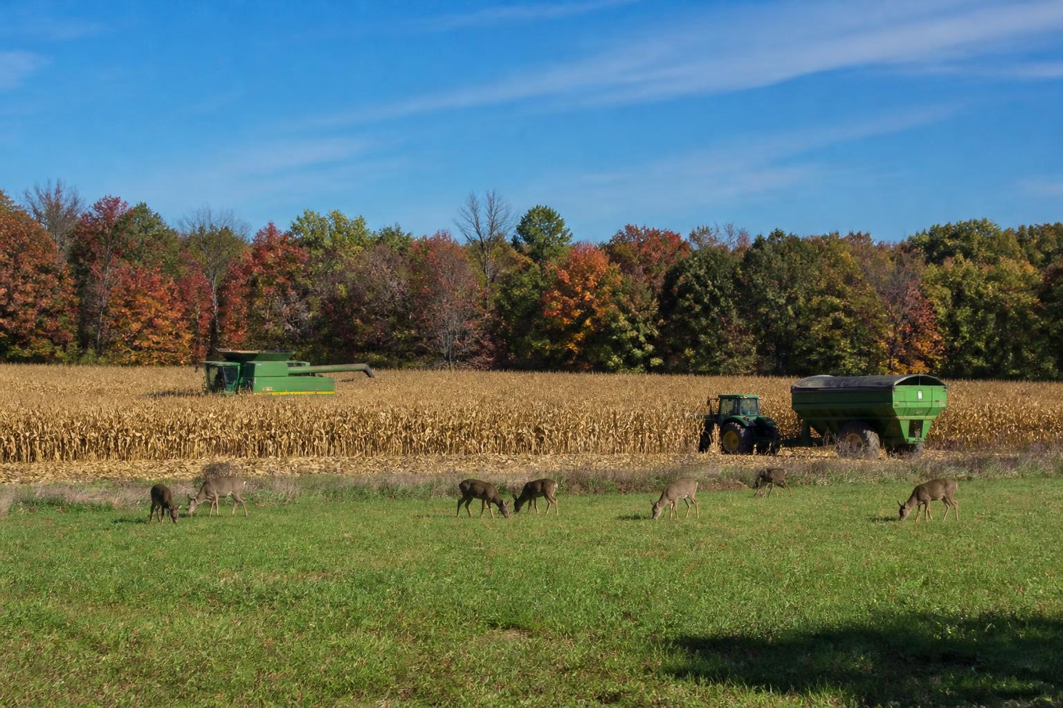 New Herbicide Market Entrant: North Carolina Crop Protection Outlook