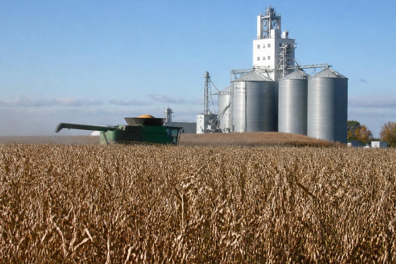 Michigan Market Pulse: Assessing Crop Maturity and Operational Costs This October