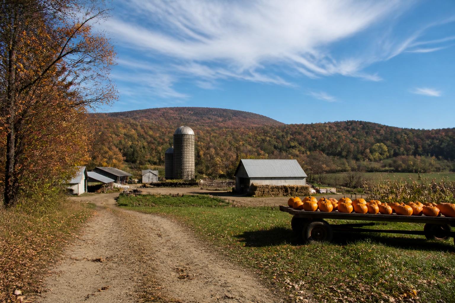 Managing Fall Field Moisture: Operational Updates for West Virginia Producers - AgroPost