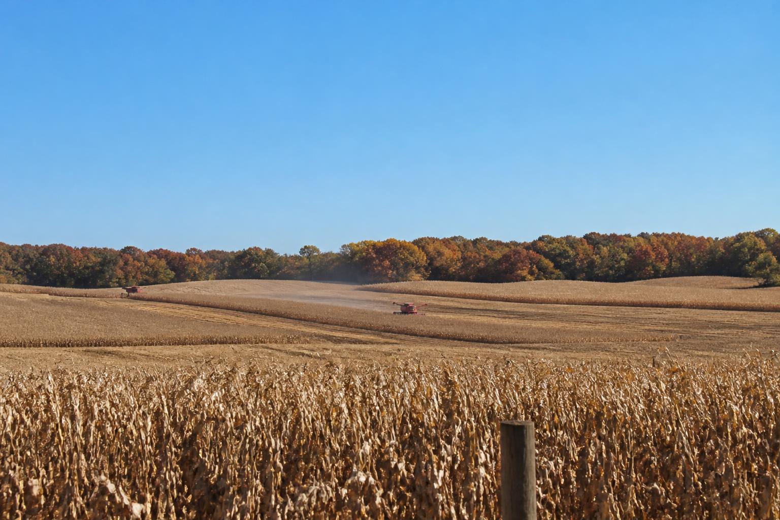 Minnesota Market Brief: Assessing Infrastructure and Financial Risks for Producers