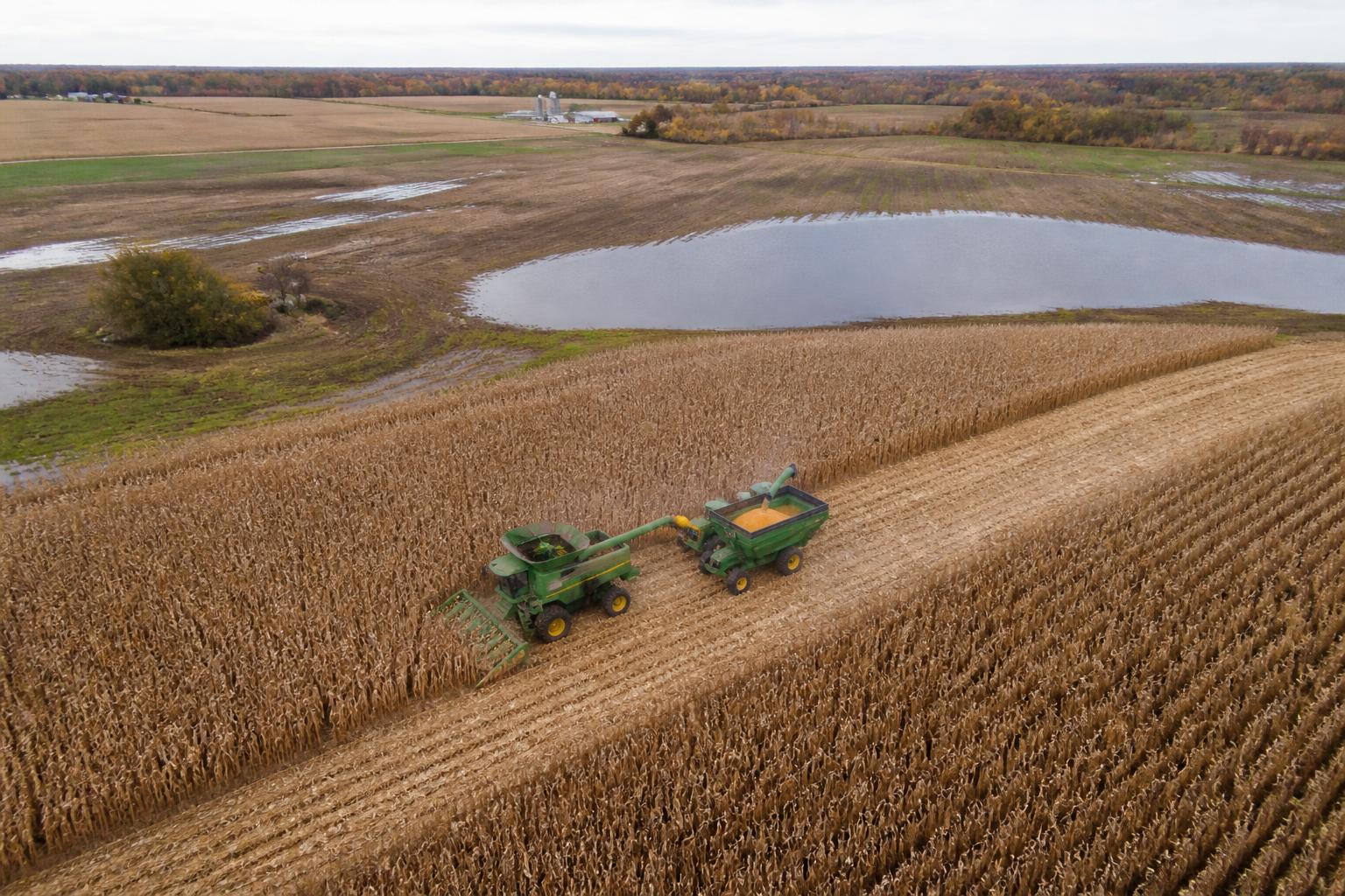 Indiana Harvest Logistics: Navigating Field Variability and Regional Basis - AgroPost