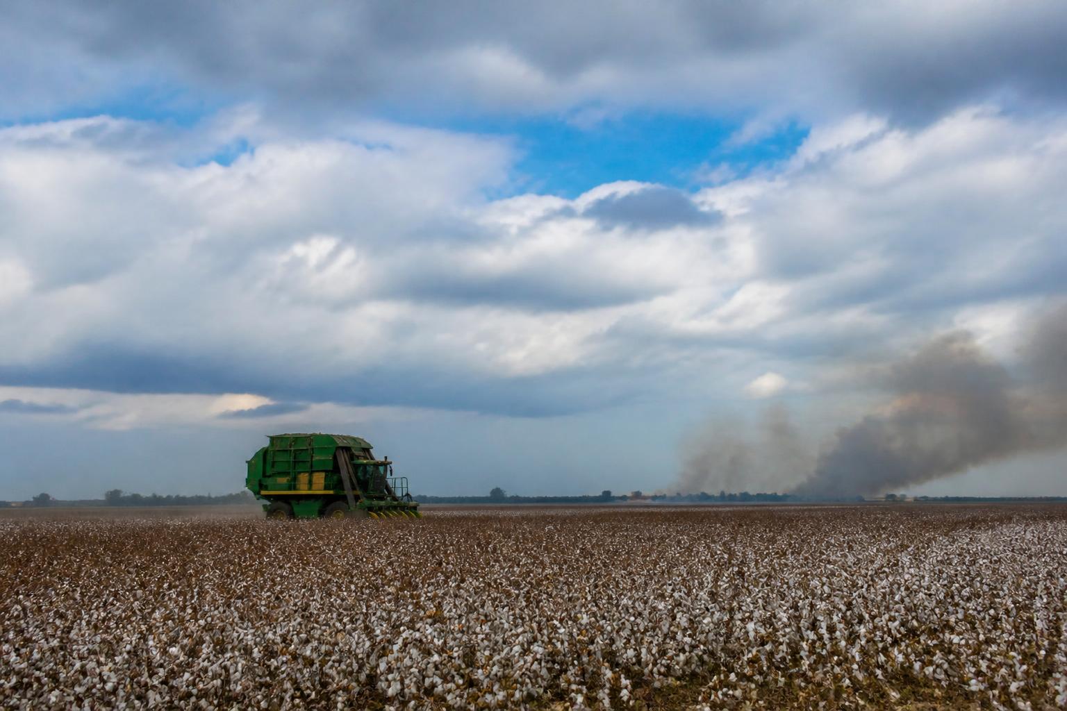 Oklahoma Producers Balance Safety Net Gains with Growing Environmental and Legal Challenges