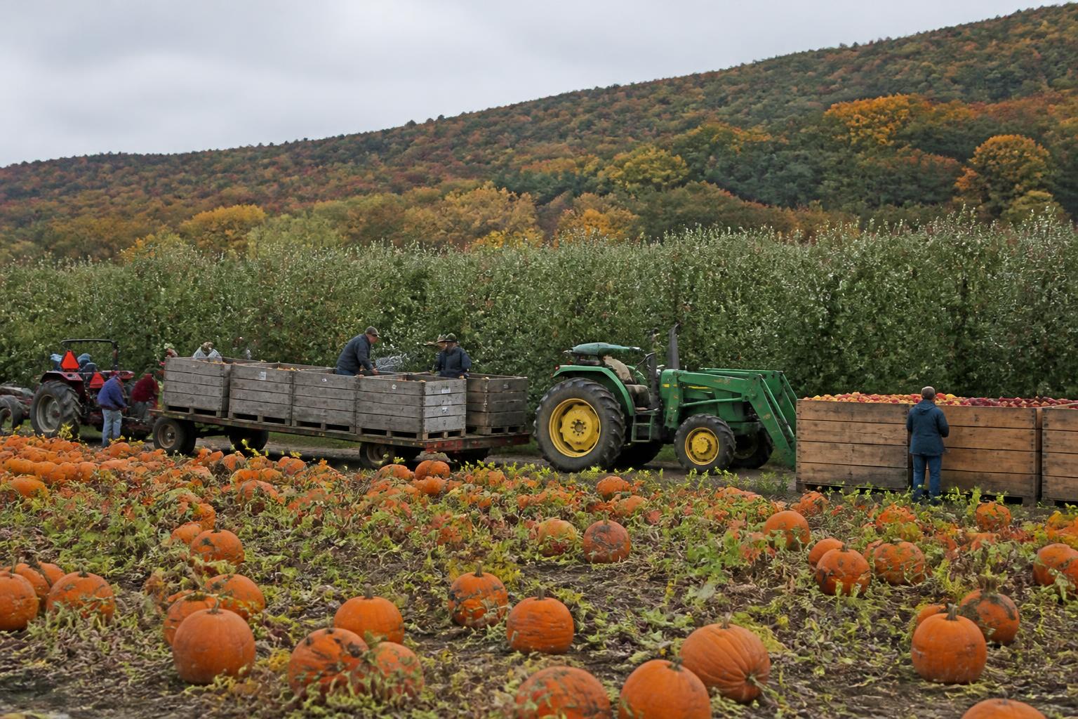 Navigating Pennsylvania Fertilizer Volatility Amid Global Supply Pressures