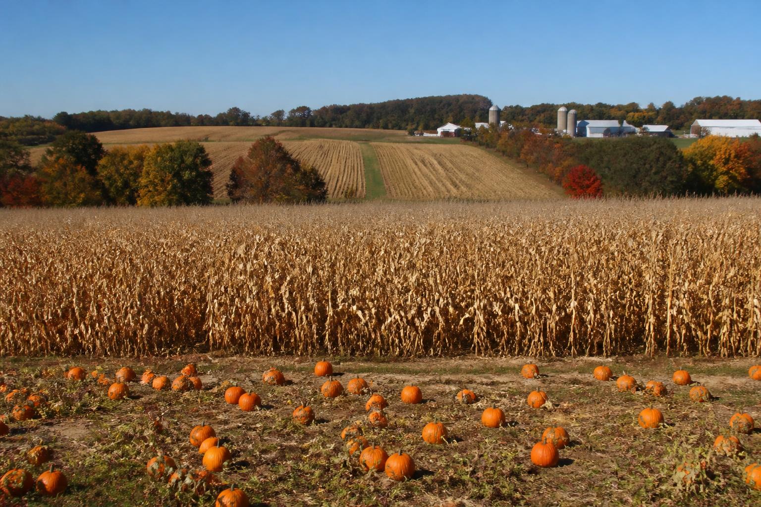 Maryland Harvest Logistics: Weighing Transport Efficiency in October