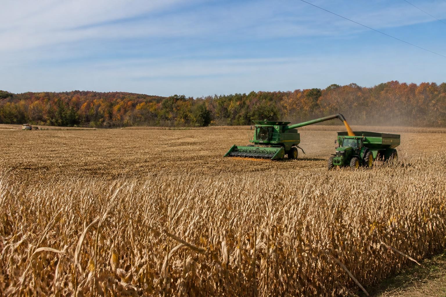 Navigating Delaware Agriculture: Market Trends and Sustainability in October