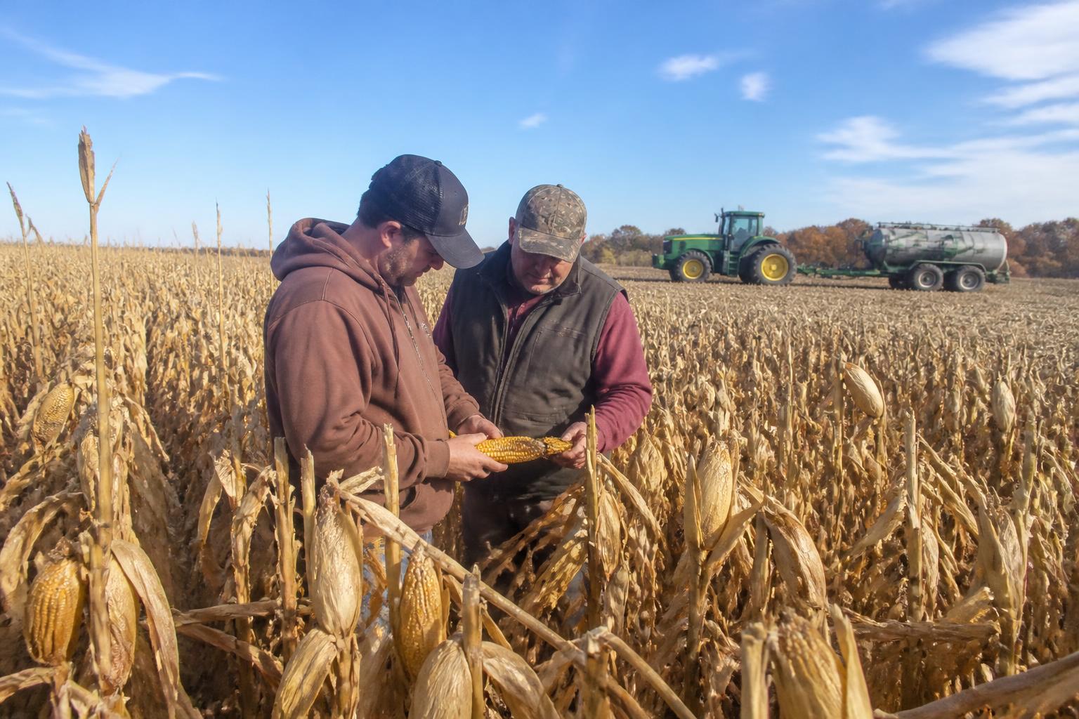 New Mexico Fertilizer Market: Autumn Procurement and Supply Chain Outlook - AgroPost