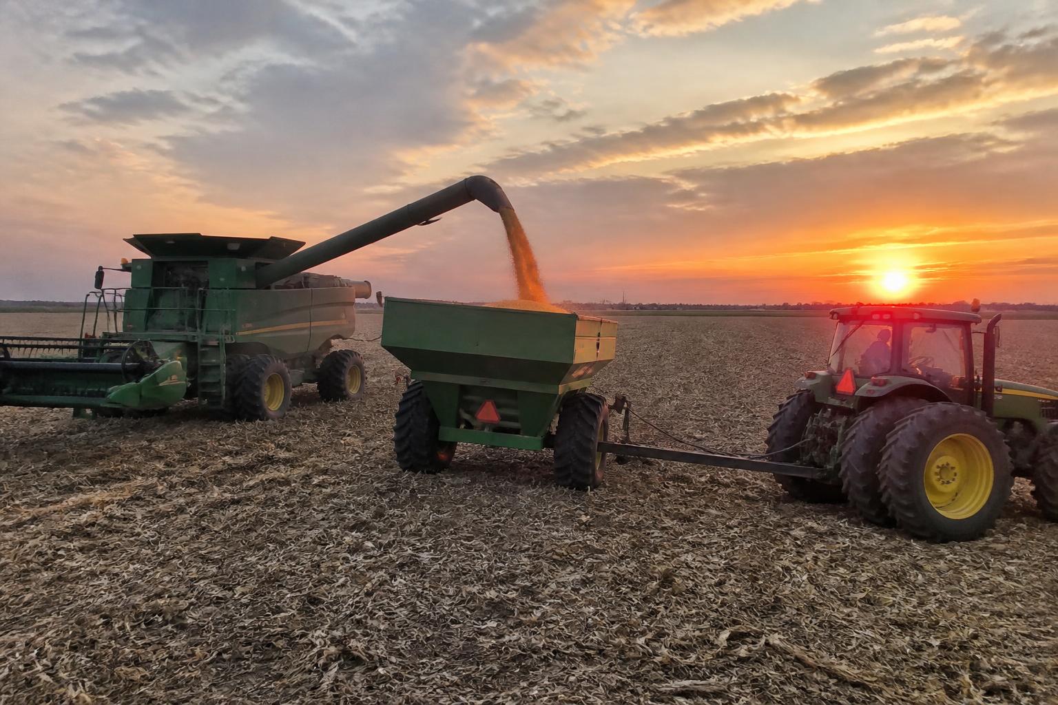 Kansas Growers Navigate Emerging Fall Pest Pressures