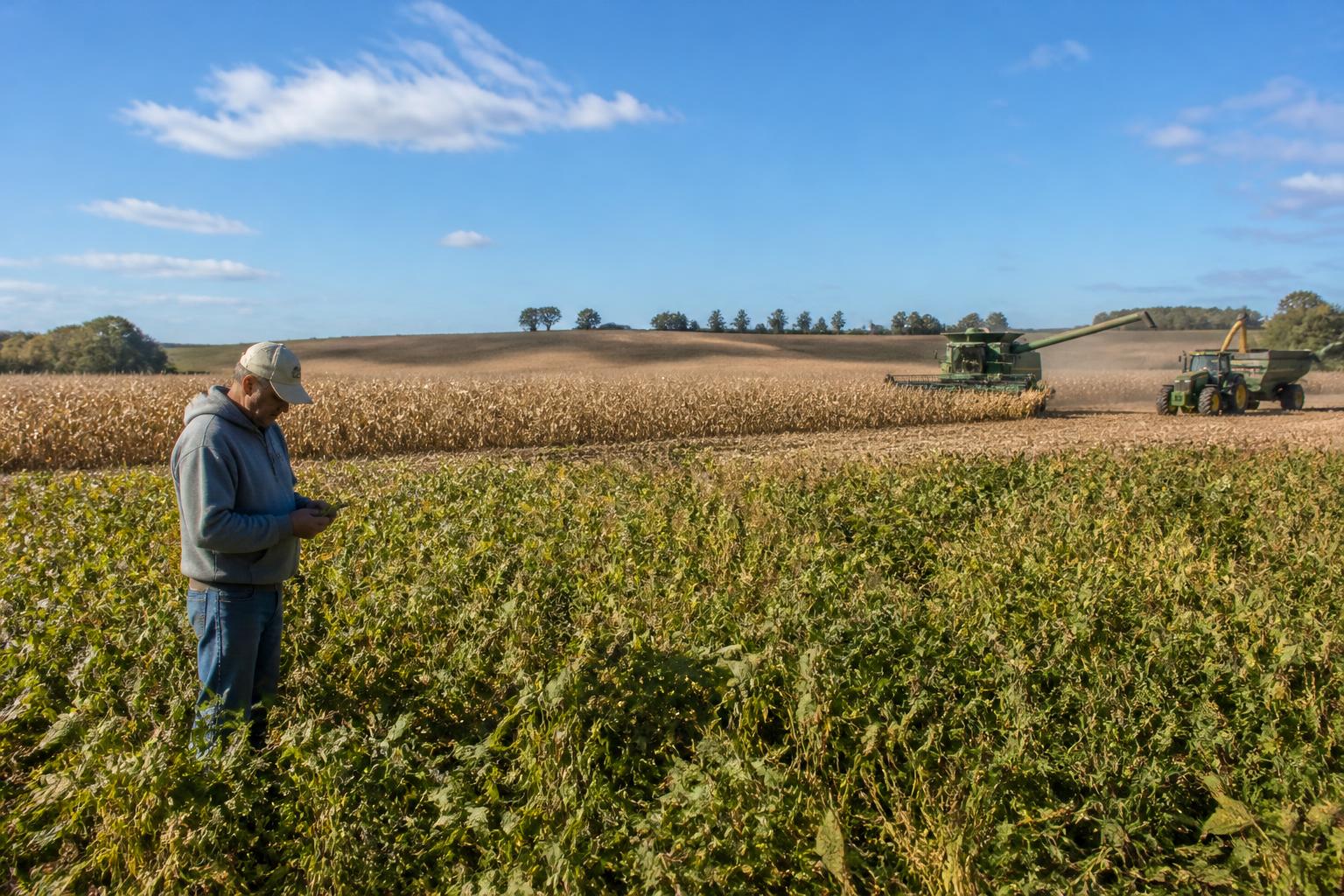 Nebraska Harvest Season: Navigating Volatile Markets and Data Privacy