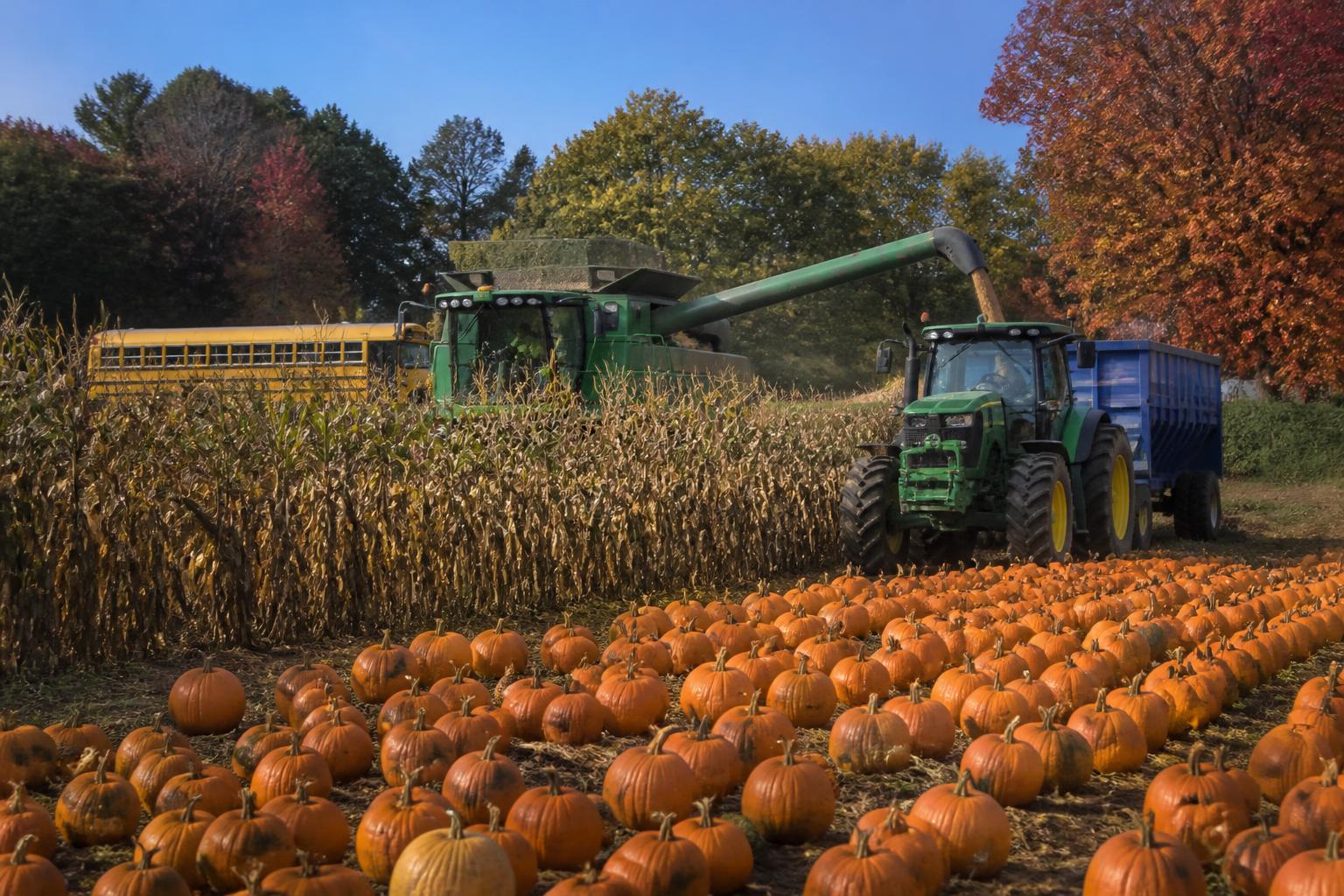 North Carolina Logistics: Balancing Harvest Throughput and Storage Strategy