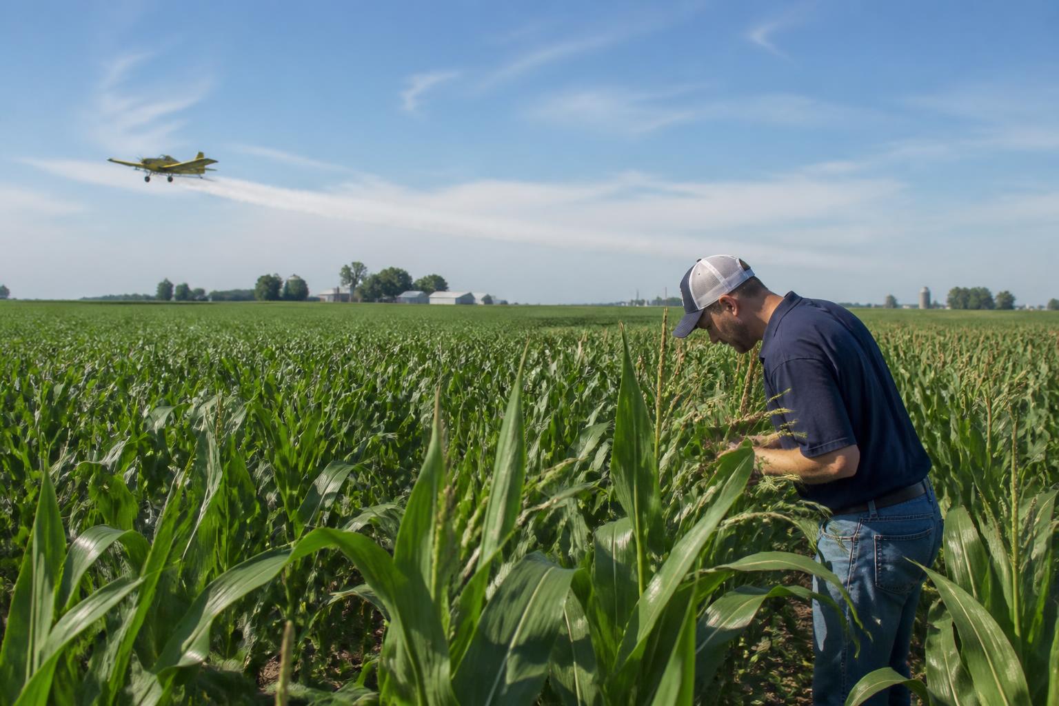Illinois Crop Protection Guide: Battling New Weed Threats and Maximizing Application Safety
