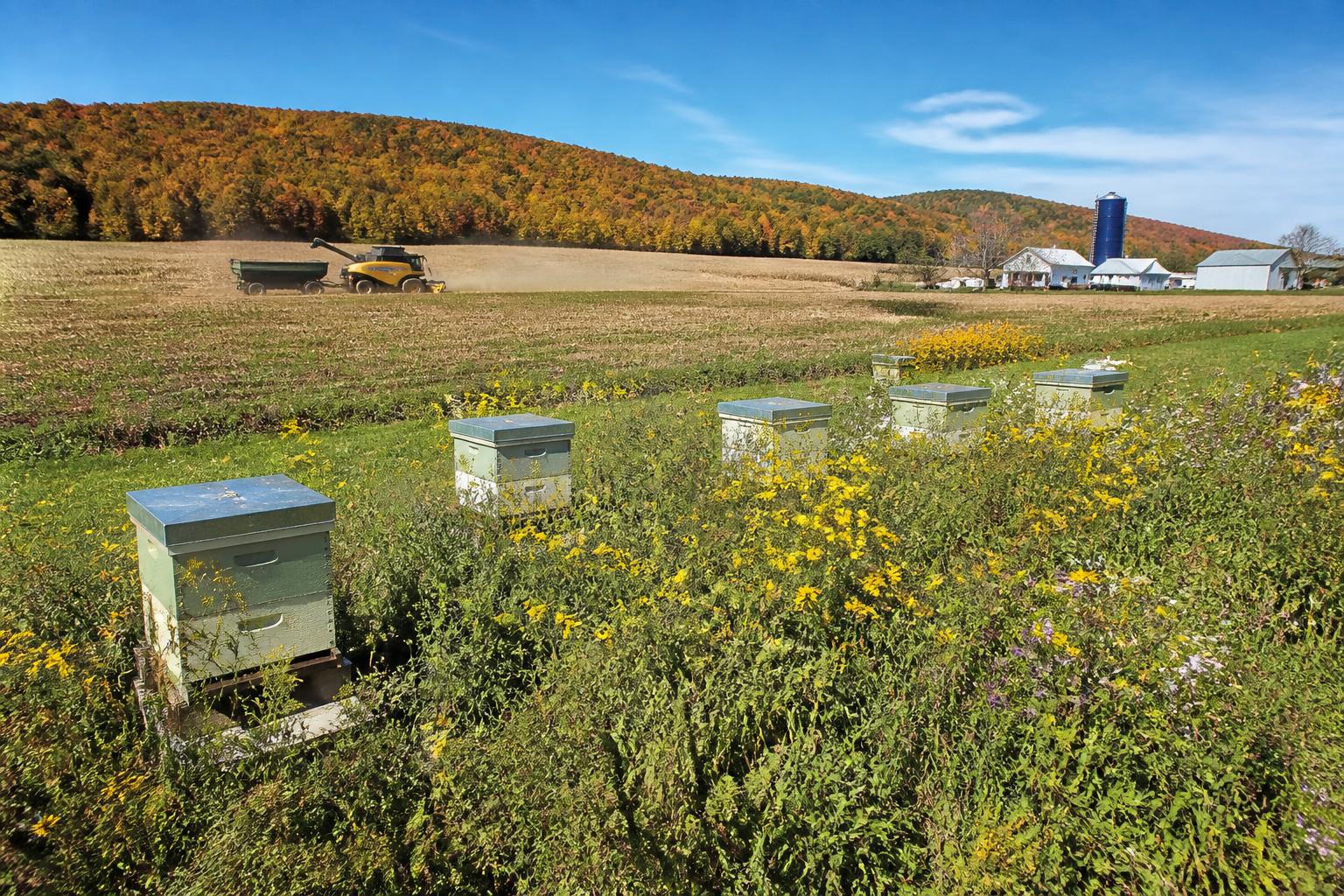 Vermont Farmers Navigate New Environmental Compliance and Production Shifts