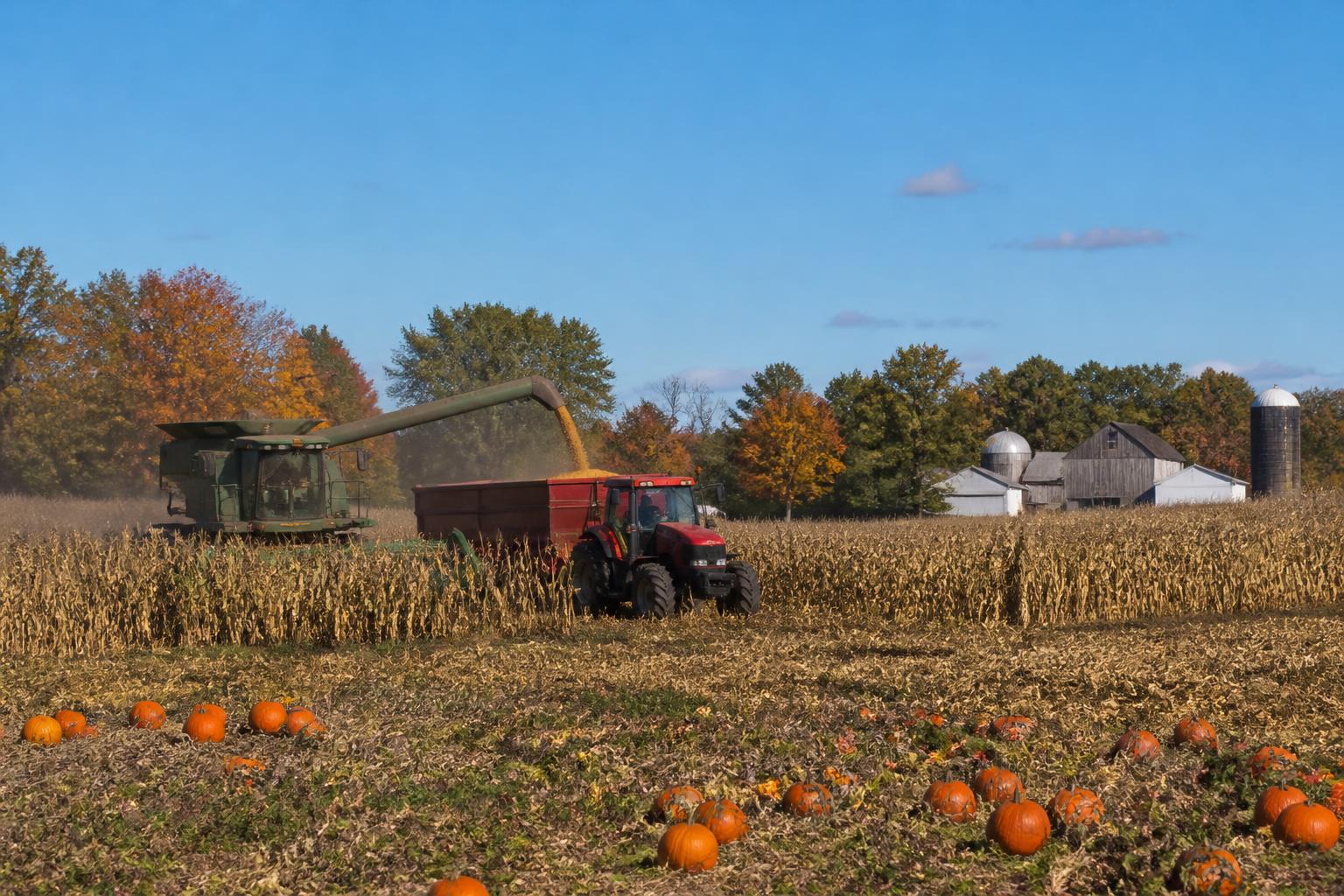 Nevada's Evolving Soil Fertility Landscape: A Fall Market Brief