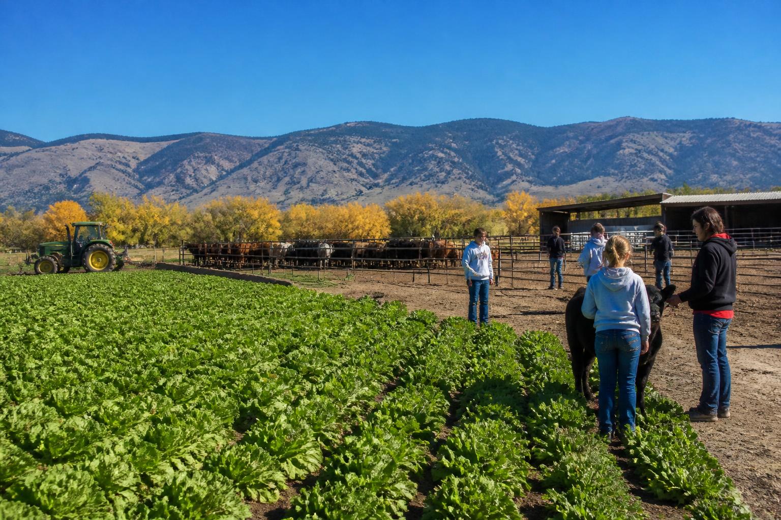 Colorado Fertilizer Market: Navigating Rising Costs and Trade Policy Pressures - AgroPost