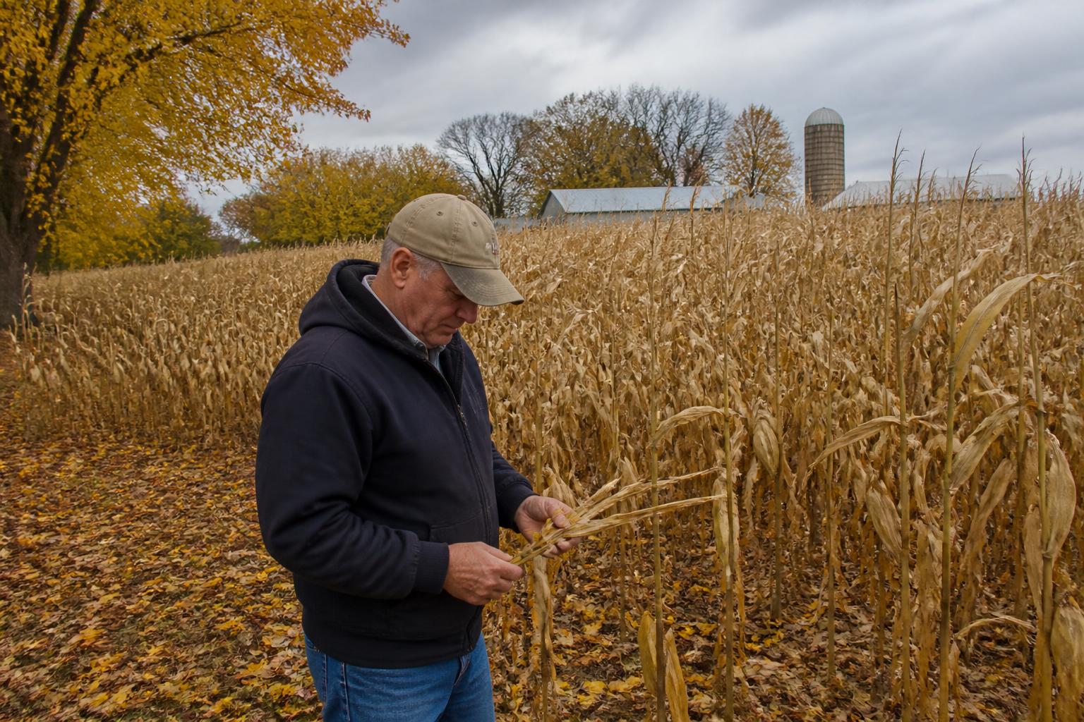 Indiana Harvest Update: Managing Field Conditions and Mid-Season Gains - AgroPost