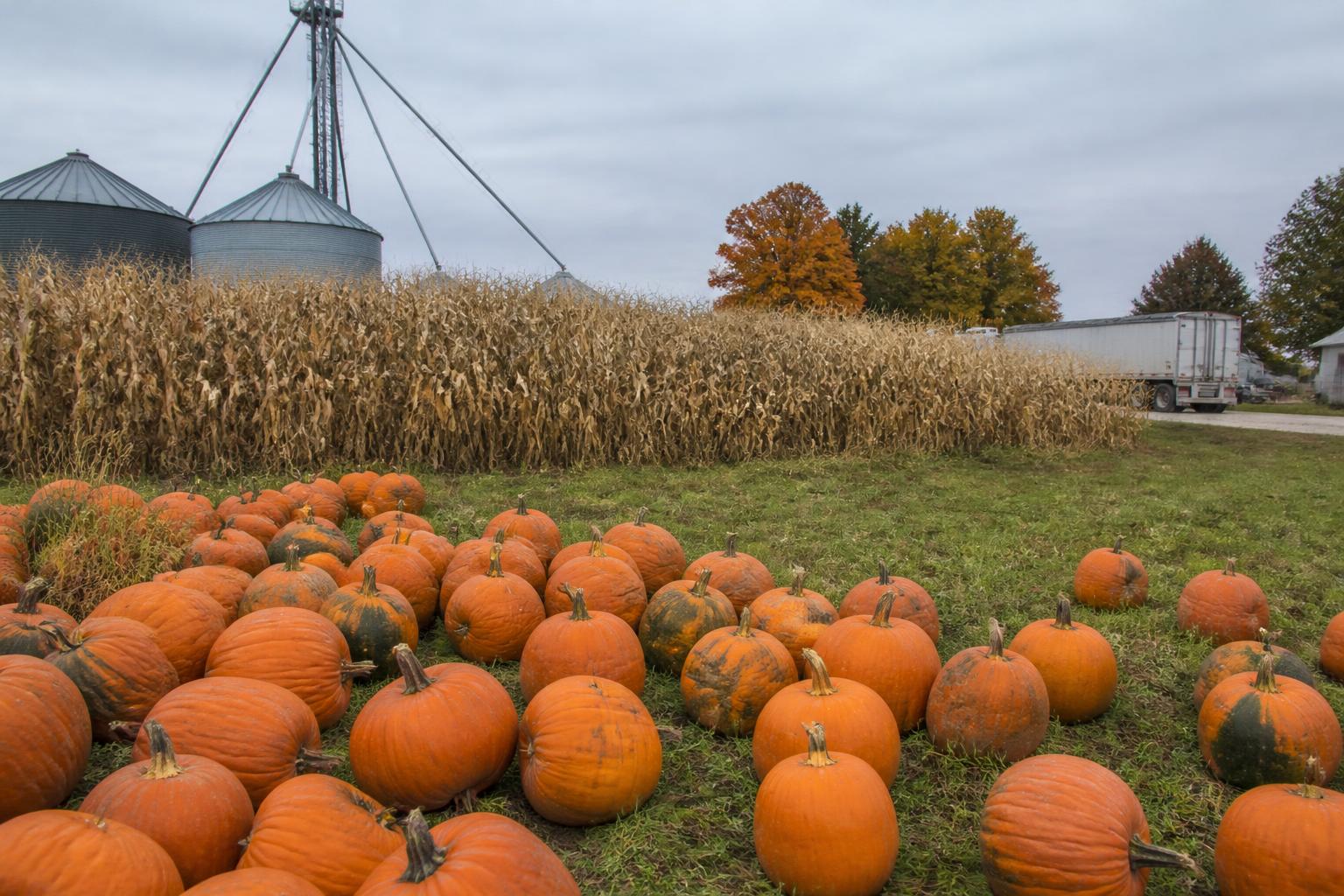 Fall Market Realities: Navigating Crop Pressures and Operational Costs in Connecticut - AgroPost
