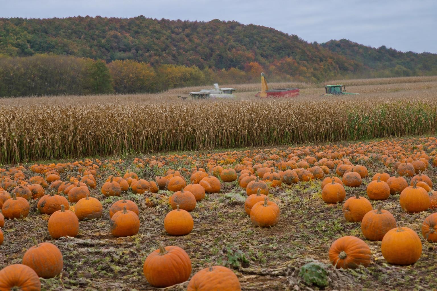 Fall Soil Fertility and Resource Planning in Nevada - AgroPost