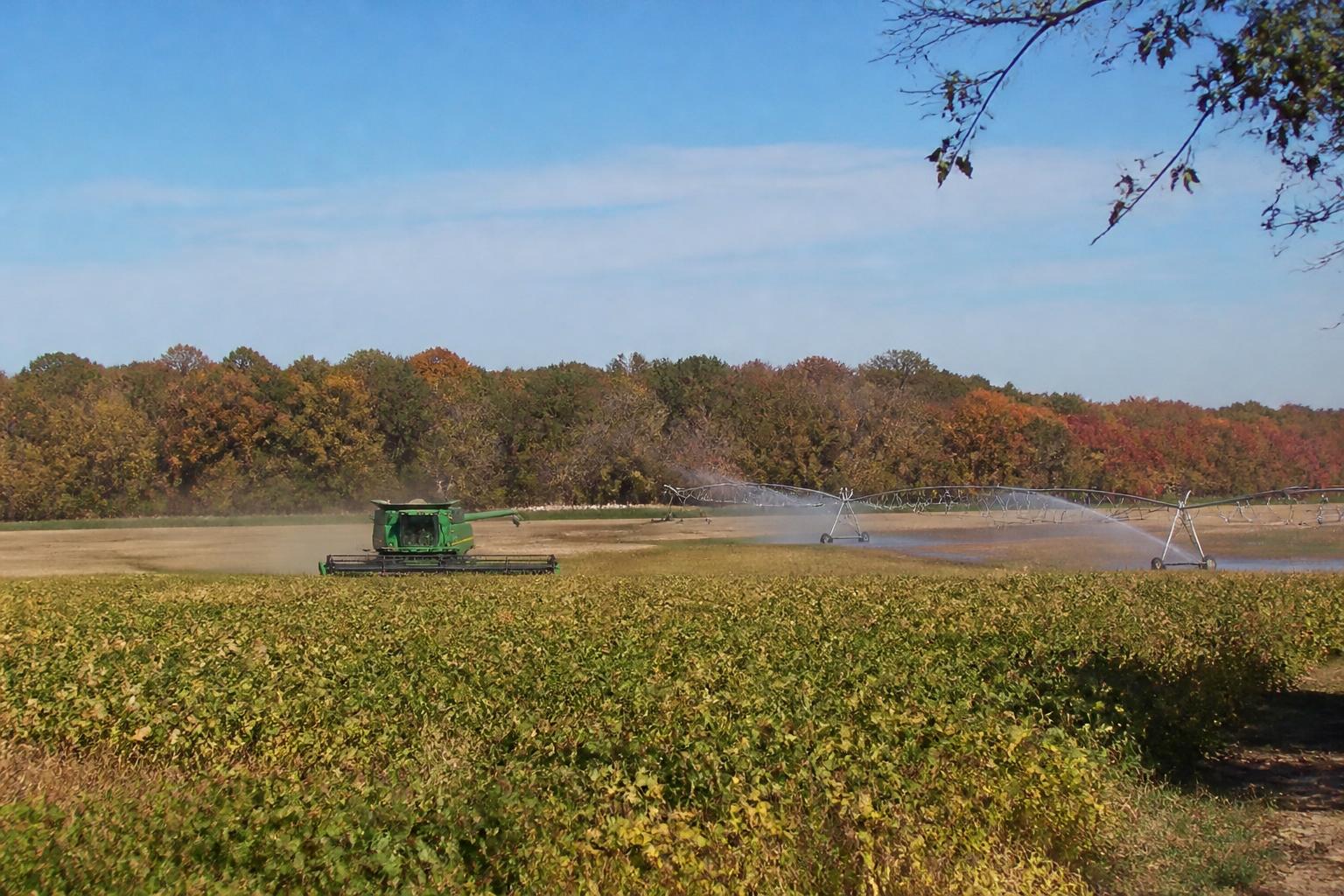 Georgia Fertilizer Outlook: Navigating Fall Field Prep and Input Efficiency - AgroPost
