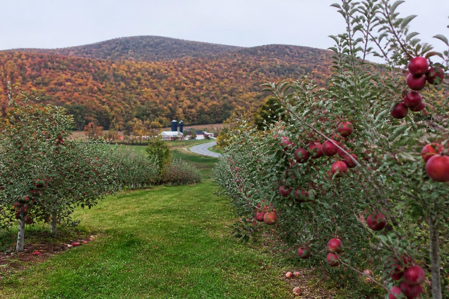 Legislative Update: West Virginia Agriculture Committee Reviews Sector Policy - AgroPost