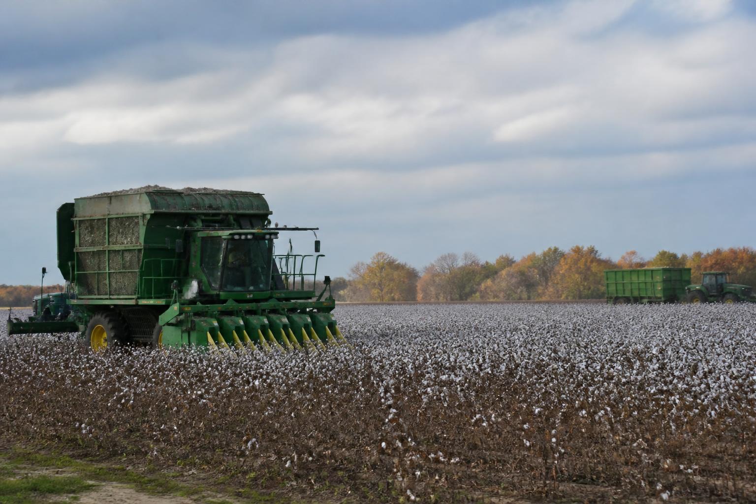 South Carolina Ag Brief: Managing Field Risks and Resource Efficiency