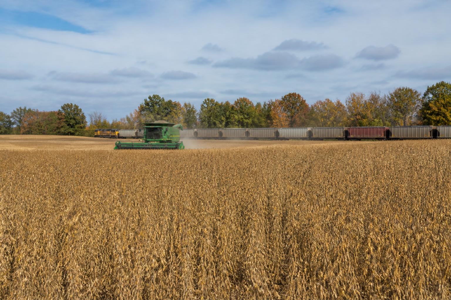 Louisiana Grain and Logistics Outlook: Navigating Fall 2026 Export Pathways - AgroPost