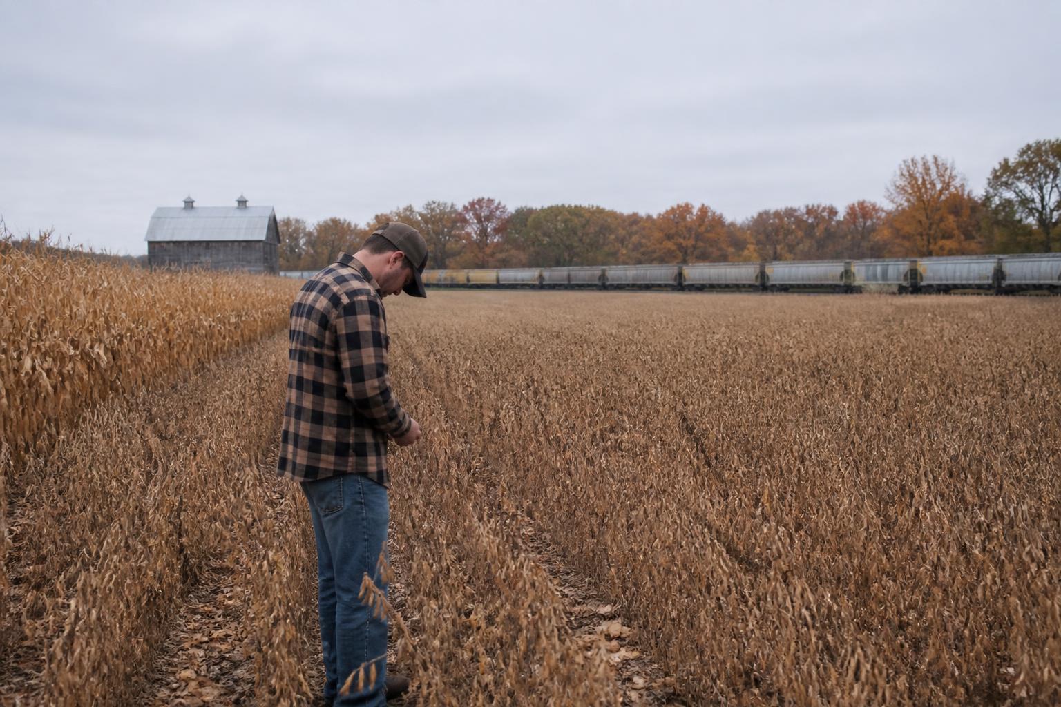 Illinois Growers Navigate Evolving Input Costs and Support Networks This Fall - AgroPost
