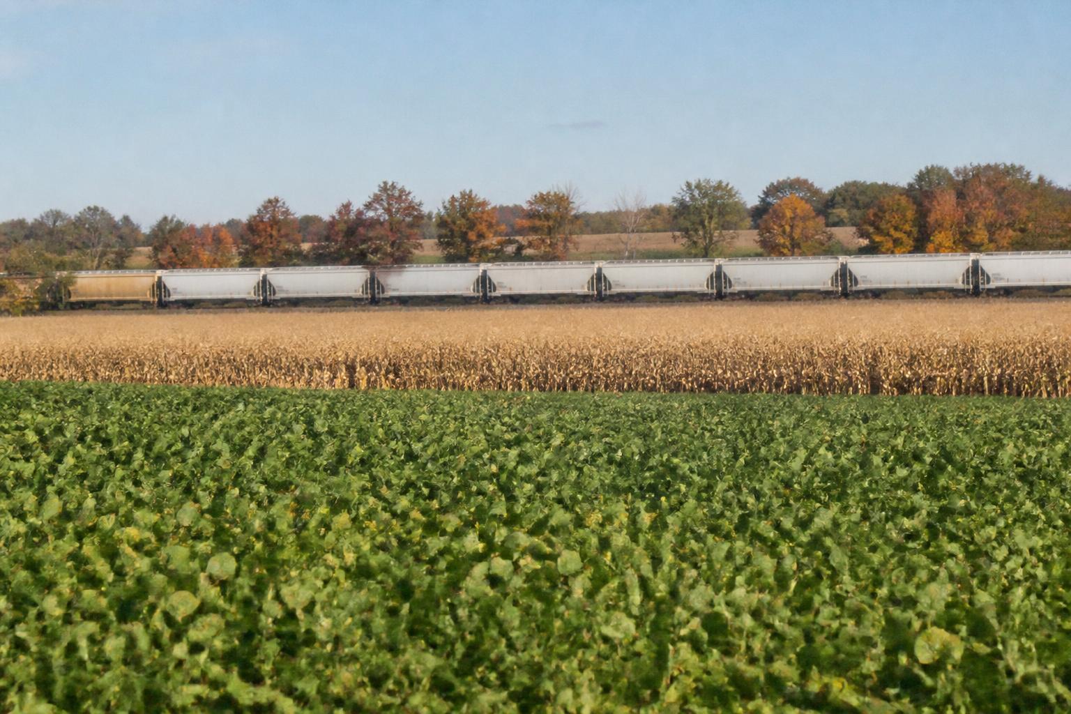 Wisconsin Grain Logistics: Preparing for Terminal Congestion and Shuttle Turn Times - AgroPost