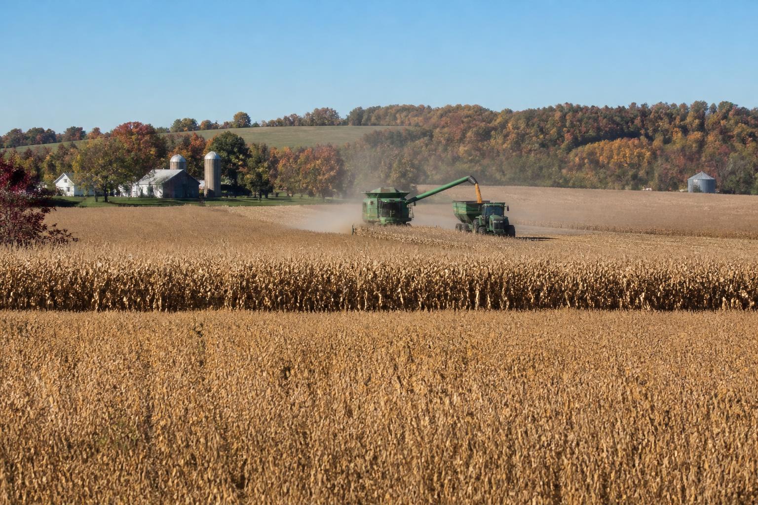 Kentucky Harvest Momentum: Navigating Mid-Autumn Logistics - AgroPost