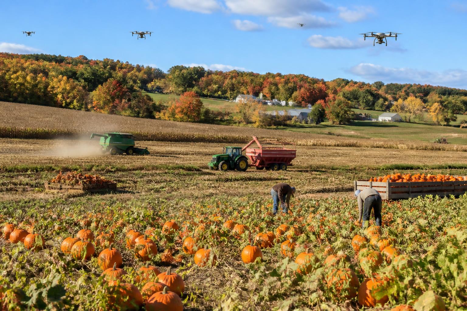Arizona Ag Logistics: Leveraging Tech to Streamline Produce Import Flows - AgroPost