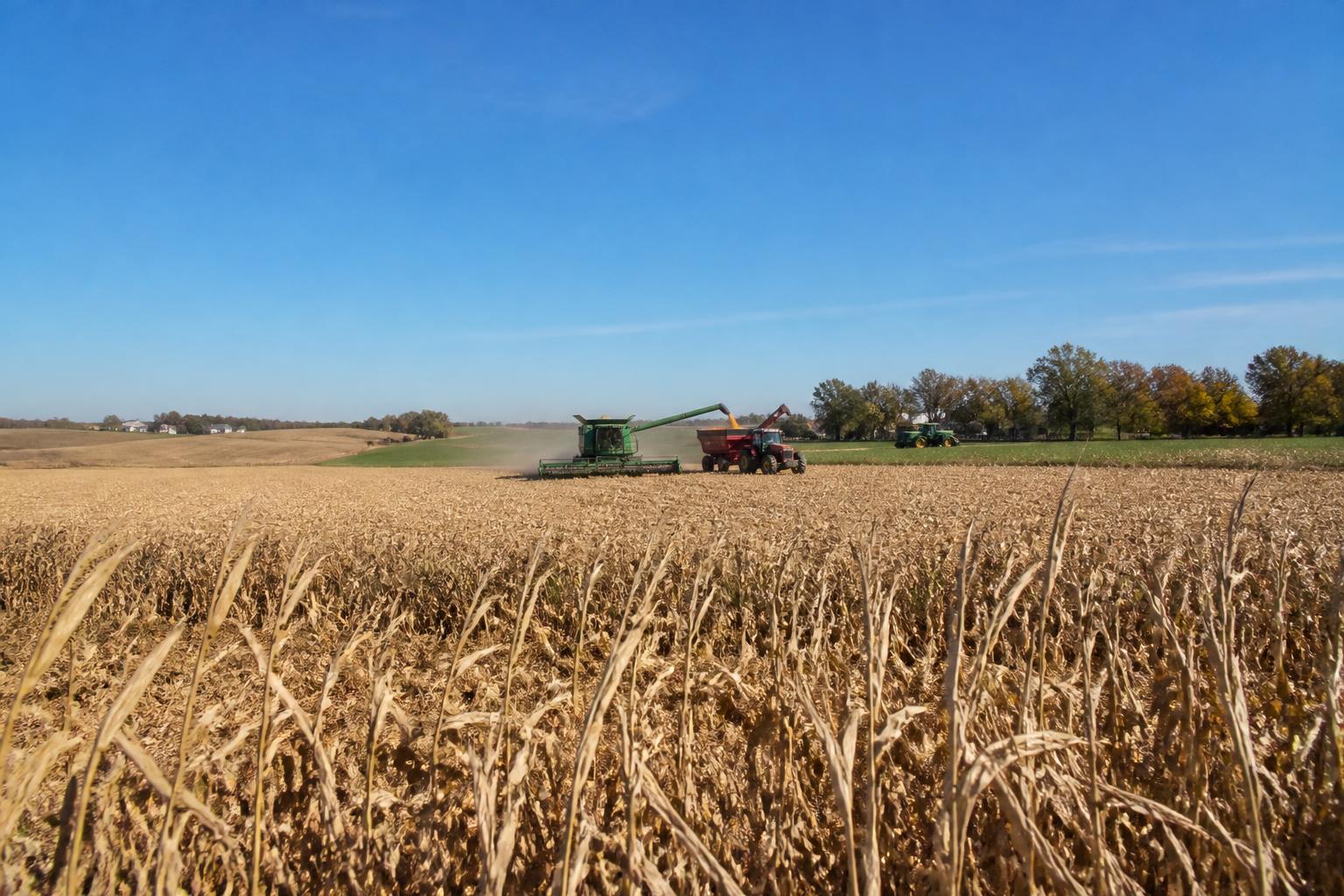 South Dakota Harvest Update: Balancing Yields and Logistics in a Busy Field - AgroPost