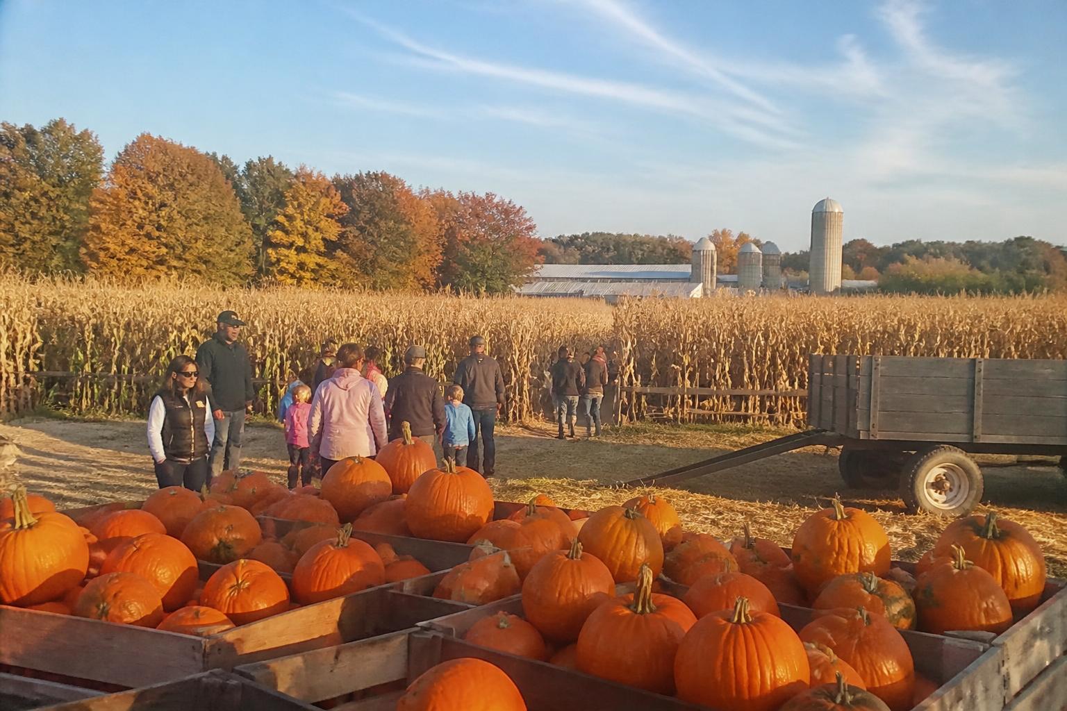 Local Infrastructure Gaps Challenge Massachusetts Growers Amid Rising Demand - AgroPost