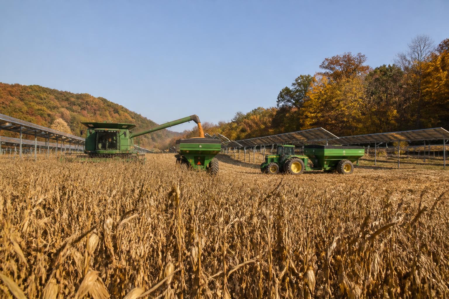 Vermont Ag Outlook: Navigating Yield Protection and Infrastructure Challenges - AgroPost