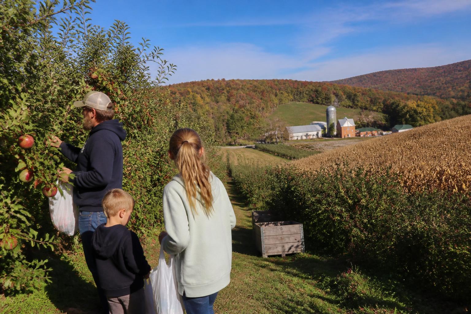 Protecting West Virginia Orchard Assets During Fall Weather Shifts - AgroPost