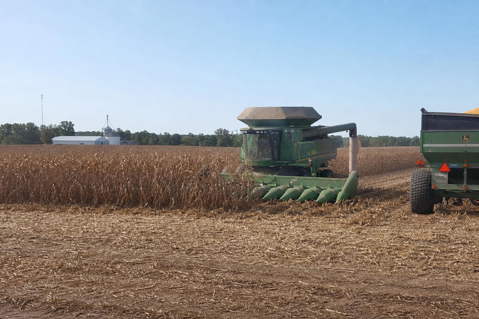 Navigating Alabama's Corn Market: Current Trends and Future Projections - AgroPost